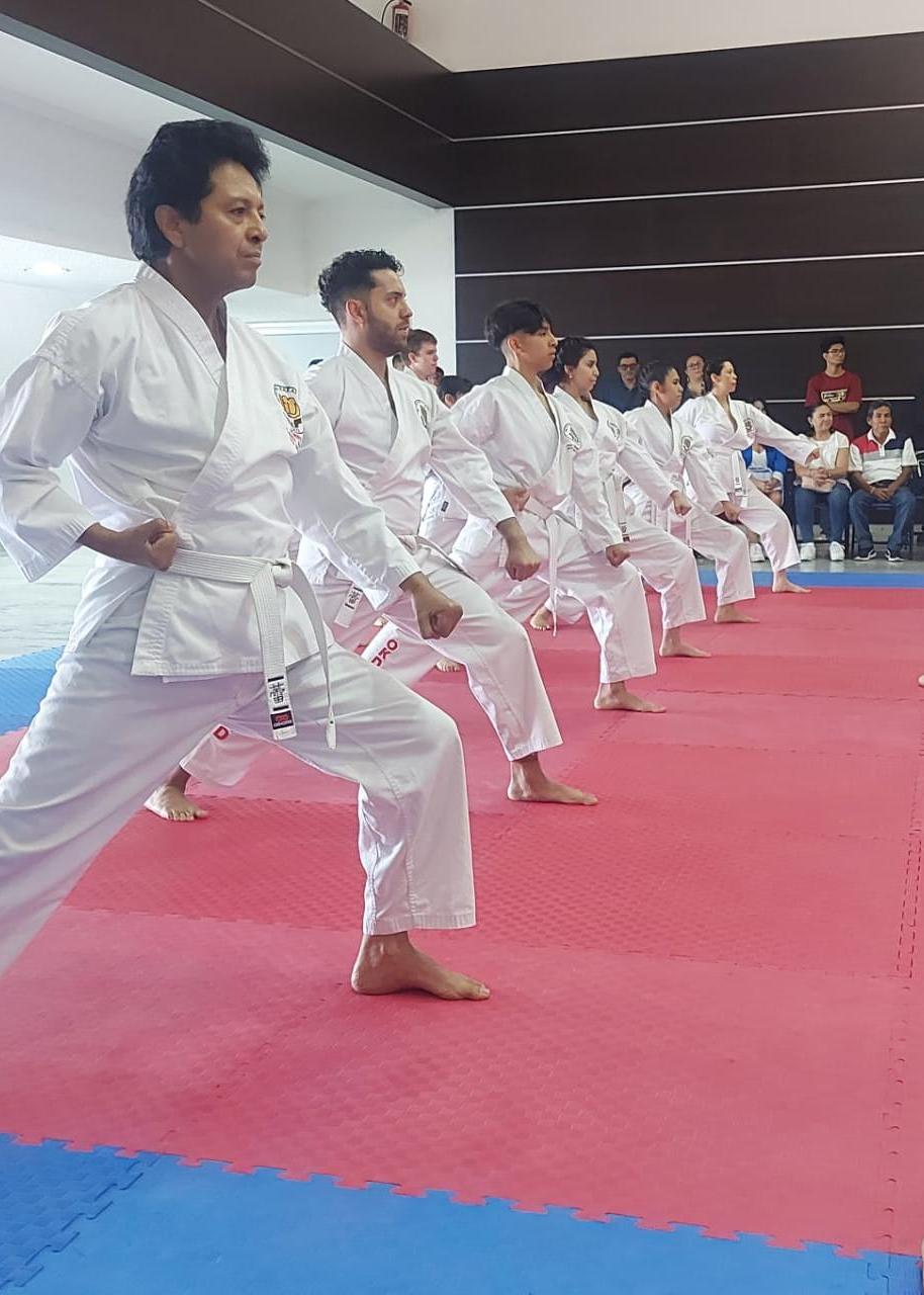 Grupo escolar practicando karate en formación